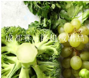 噻蟲嗪快速檢測卡
